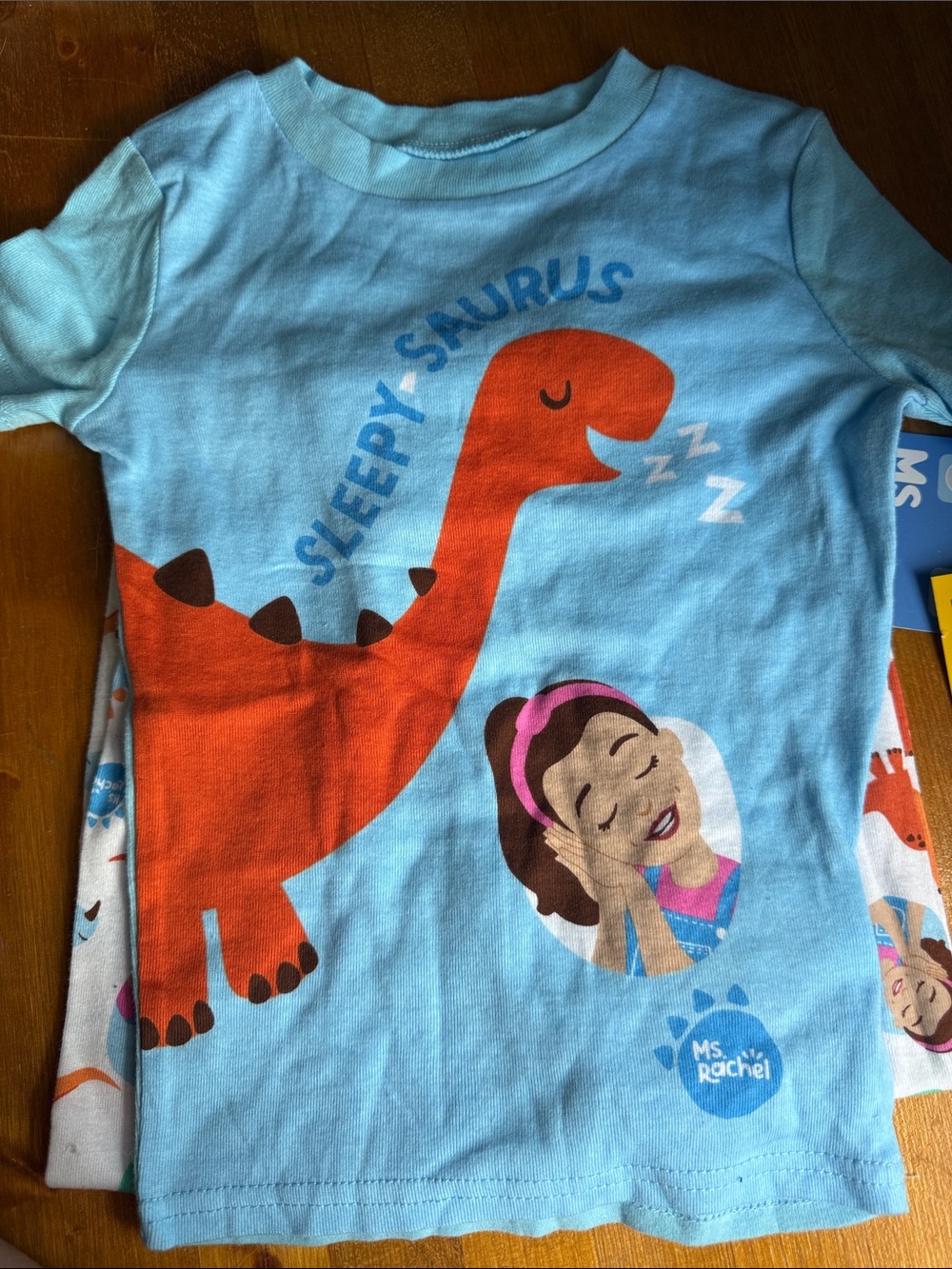 Sleepy Saurus Blue Kids Pajama Top and Bottoms